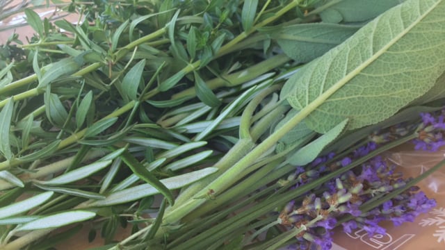 Kochgruppe bei Sommerhitze mit Matjestopf Hausfrauenart und Zucchini-Röllchen