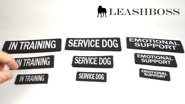 Leashboss Service Dog Patches for Vest - Embroidered 2 Pack - Hook and Loop Both Sides (Service Dog, 1.5 x 4 inch)