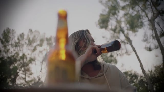 TNT - Customer Success Story