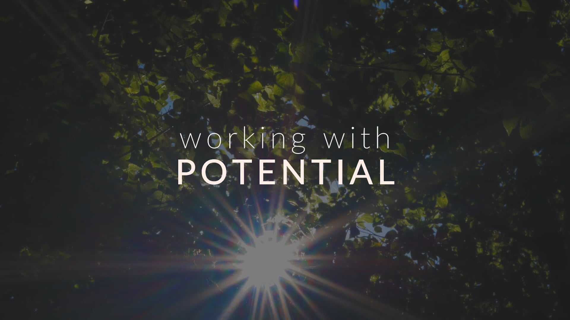 Regenerative Development Part 3: Working with Potential