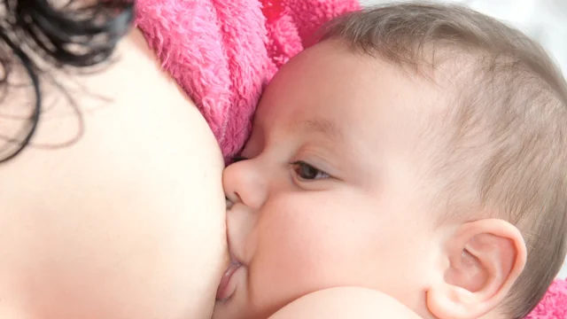 Comfort Nursing - The Breastfeeding Companion