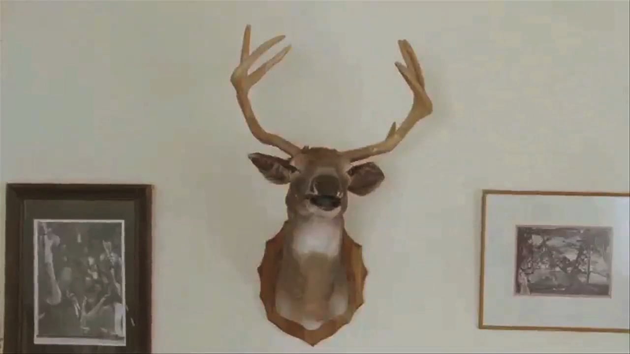 DEAR DEER