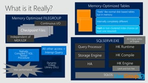 Inside SQL Server In-Memory OLTP