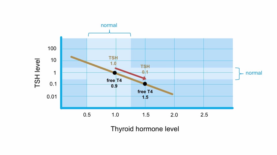 Mastering TSH assays