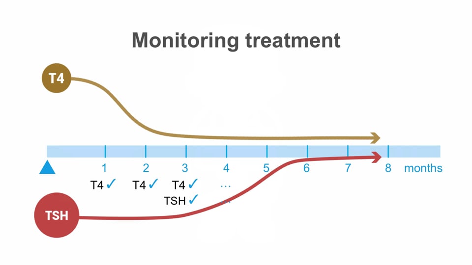 Thionamides in the treatment of thyroid disease