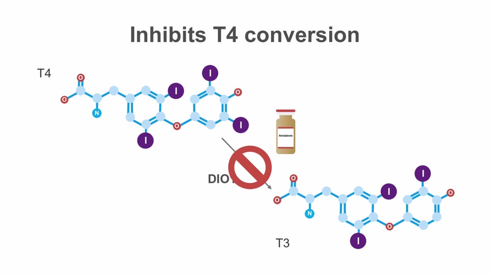 Amiodarone and thyroid function
