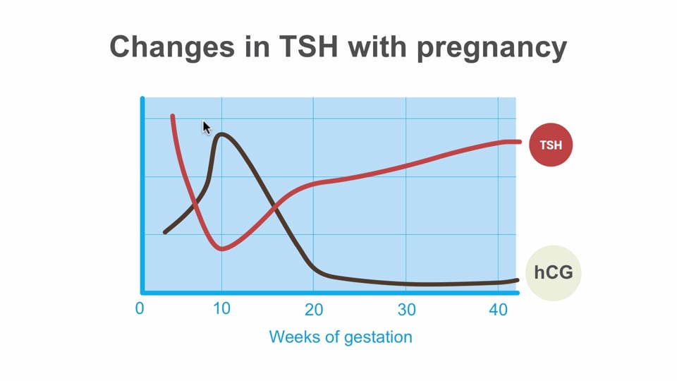The thyroid and pregnancy