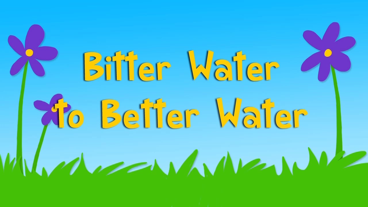 Bitter Water To Better Water (3QB11) on Vimeo