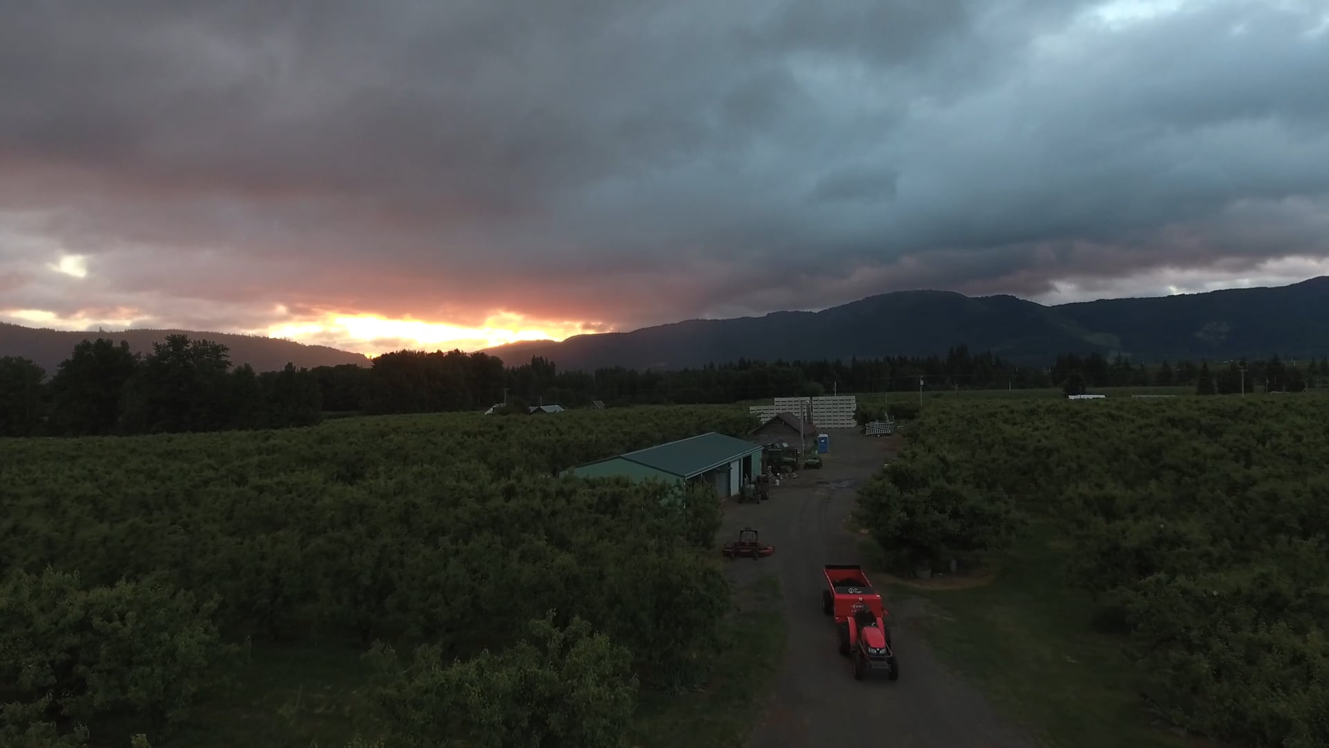 TOFURKY + DIRTHUGGER