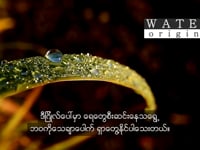 Water Origins Burmese