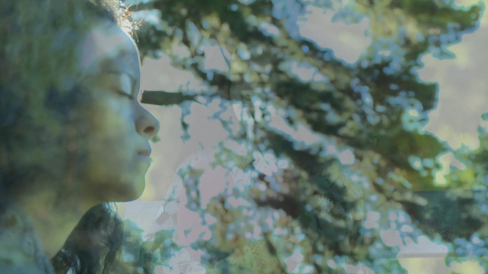 Silence By Justin Grant