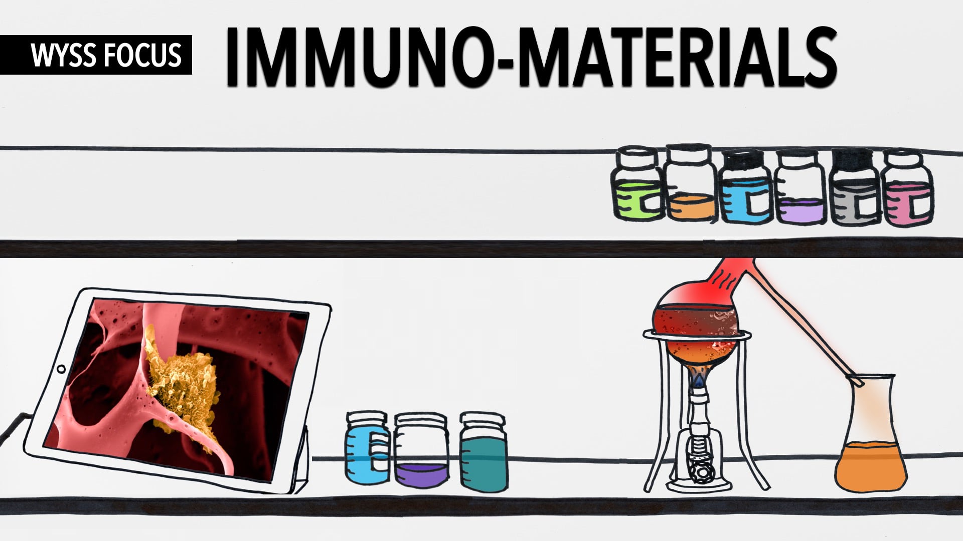 Wyss Focus: Immuno-Materials