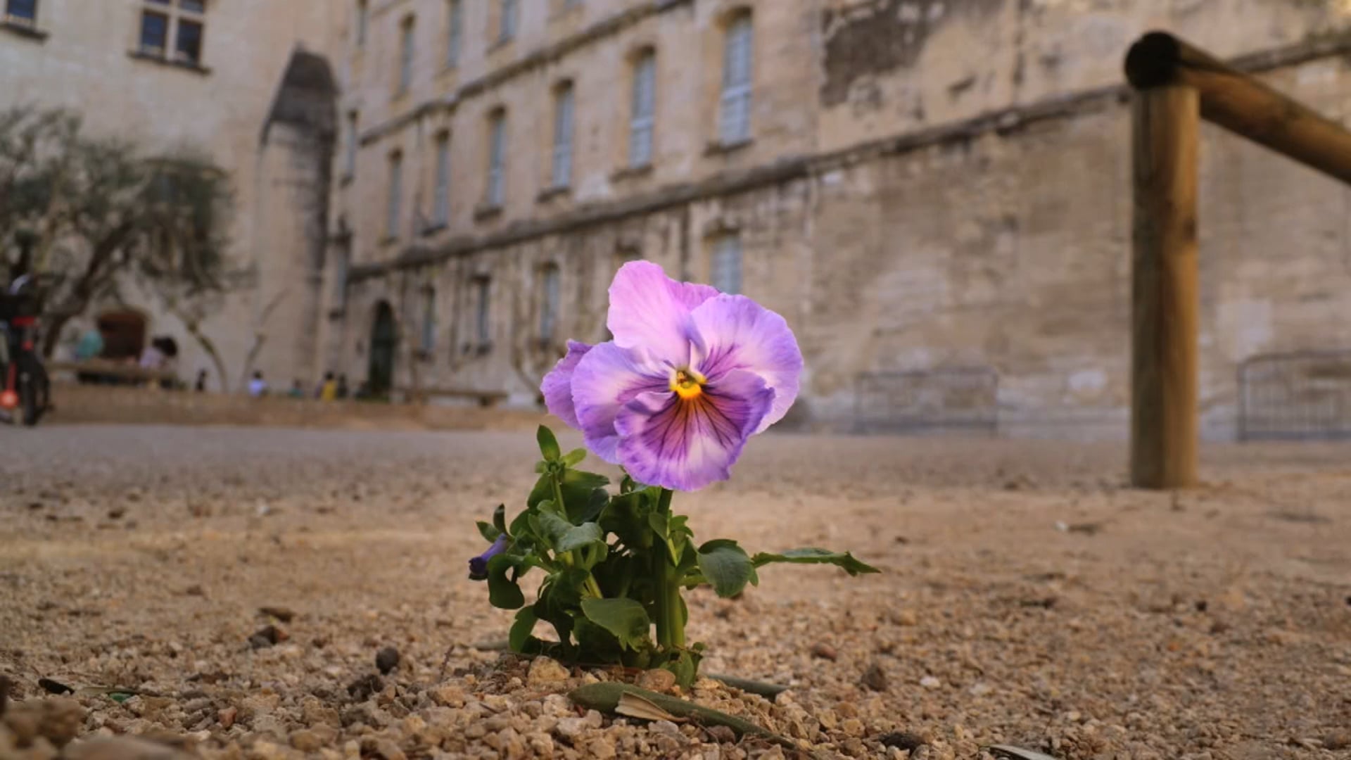 Films / Documentaires