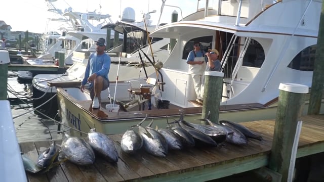 Reel Tight SportFishing June 17, 2017 — Ocean City, Maryland