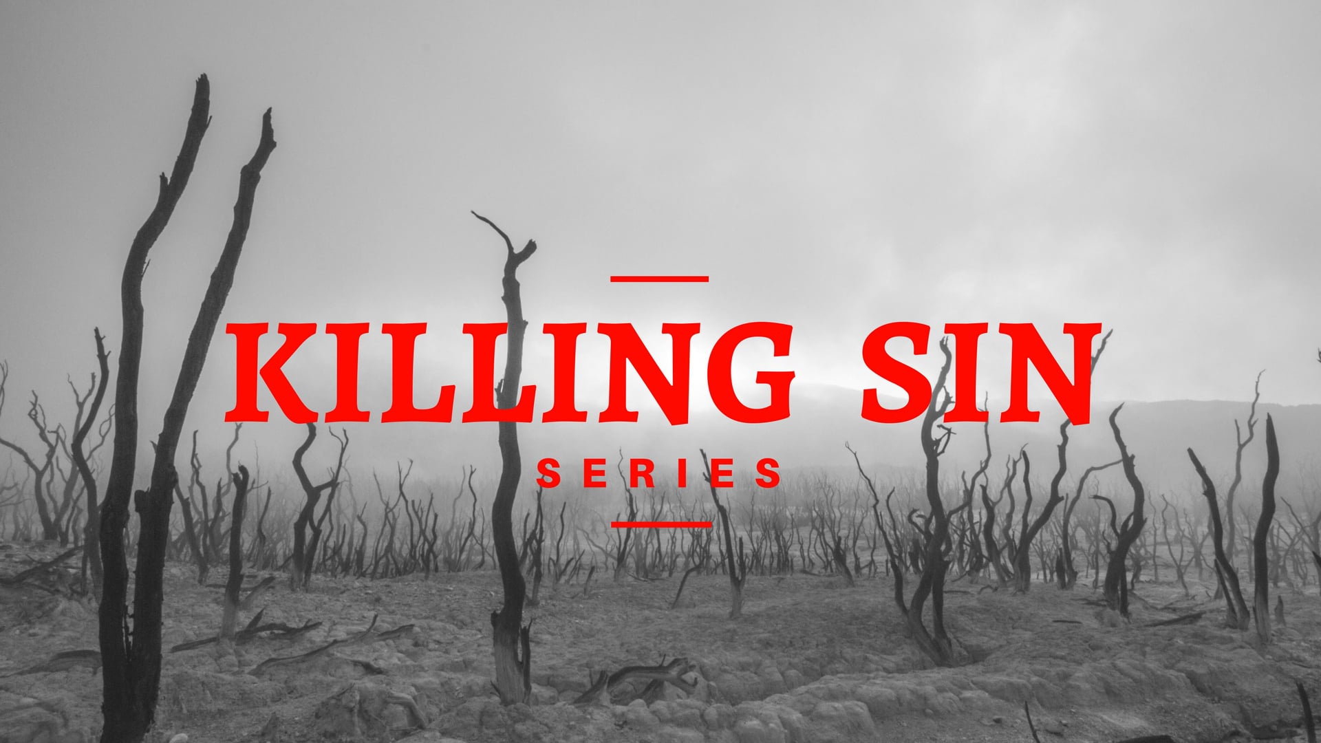 Killing Sin Series