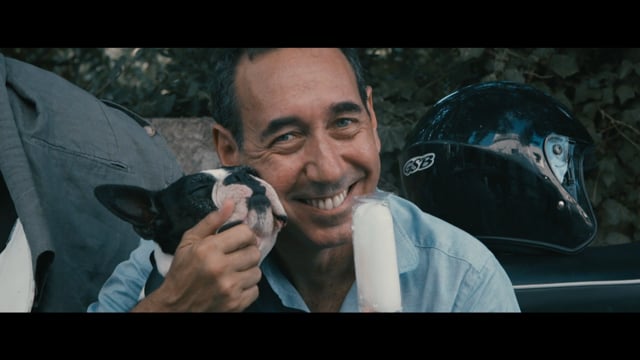 V _ Spot contro l'abbandono dei cani