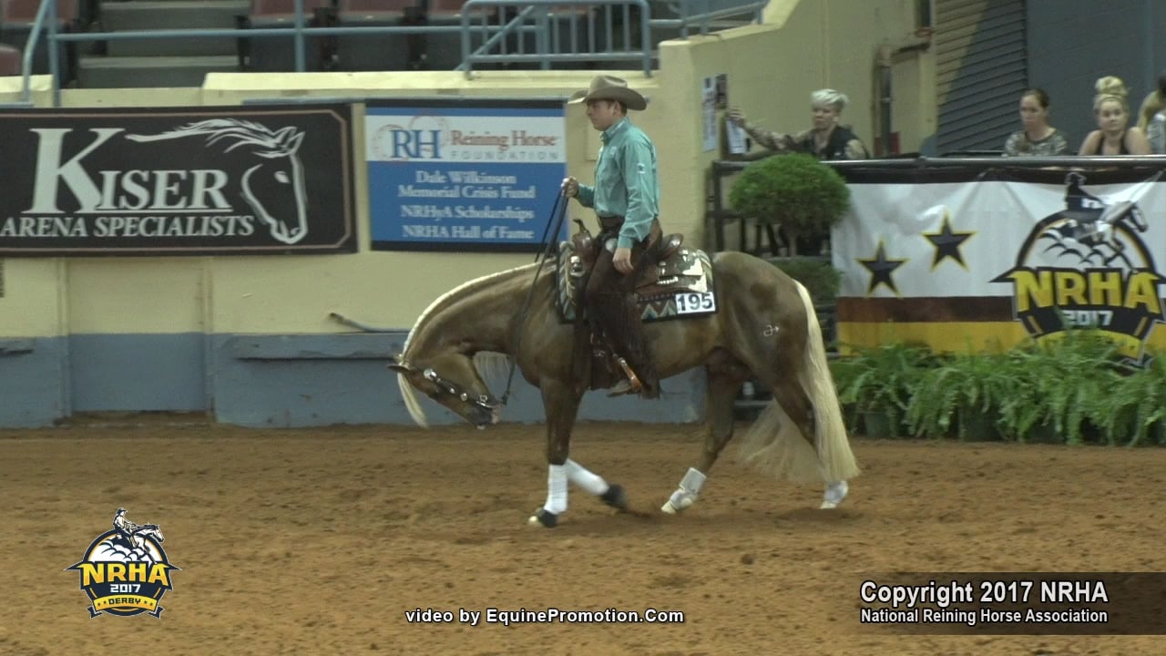 Open Derby First Go Section 1 - 195 / ARC Gunnabeabigstar / Jordan Larson /  224.5