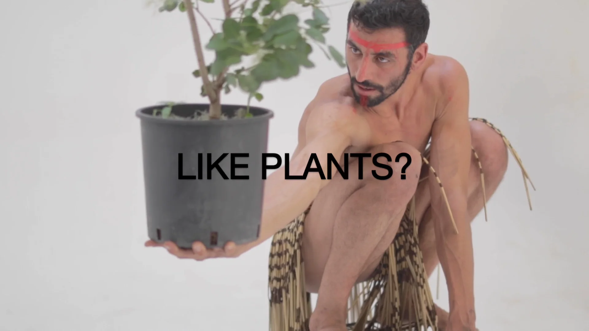 LIKE PLANTS? BIONIC FESTIVAL on Vimeo