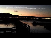 Sonic Postcard from Parque del Hondo - 20170628