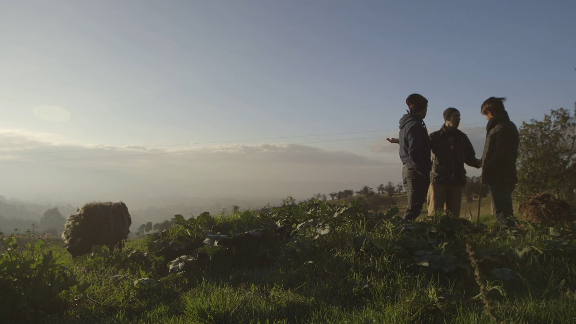 Materia Prima "Teaser Serie Web"