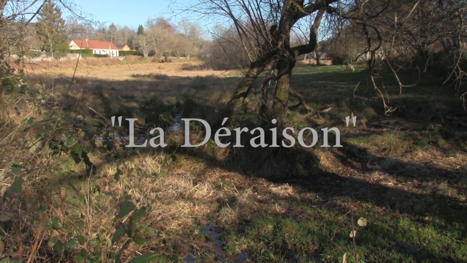 "La déraison"