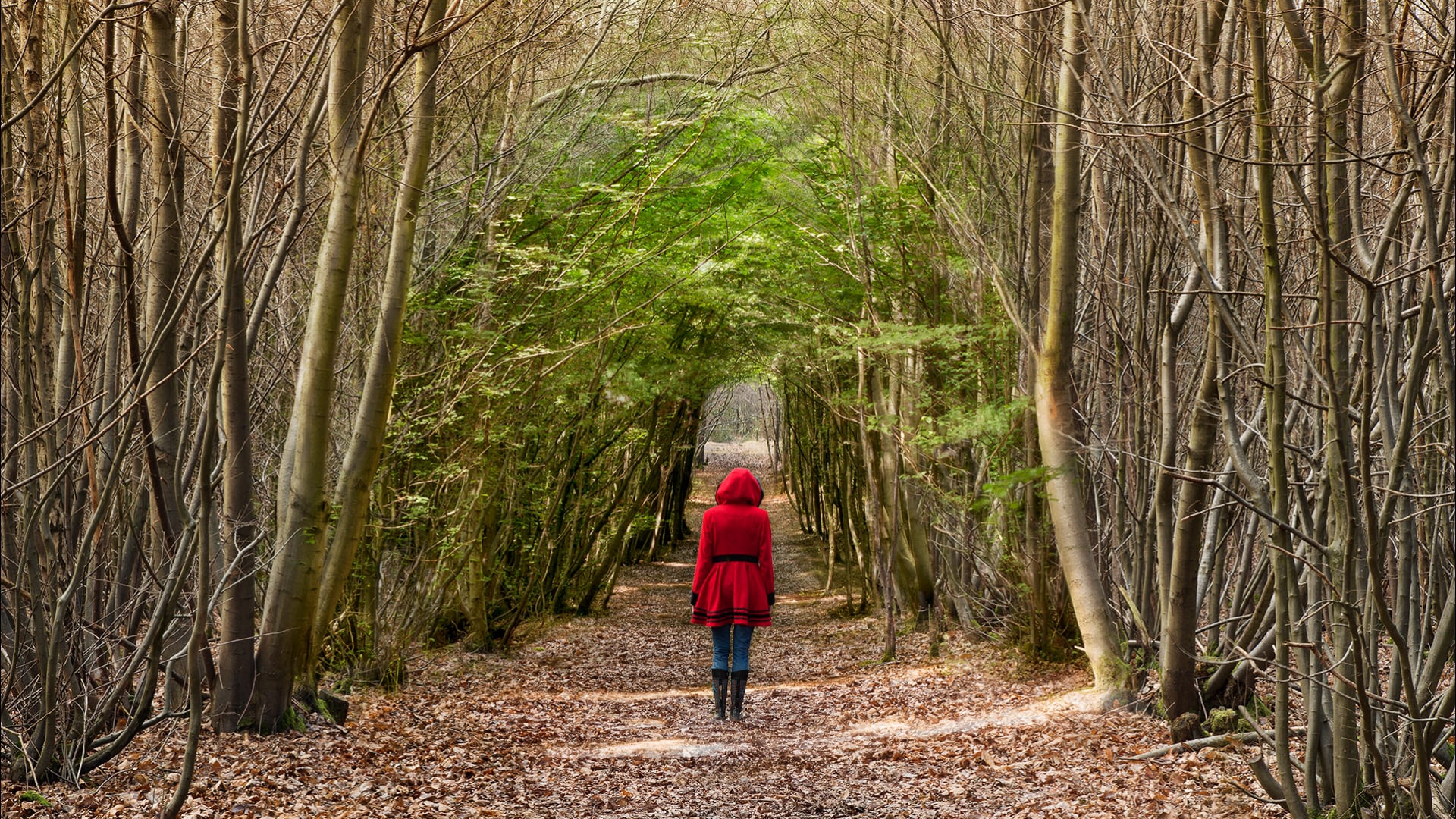 FALL INTO SPRING on Vimeo