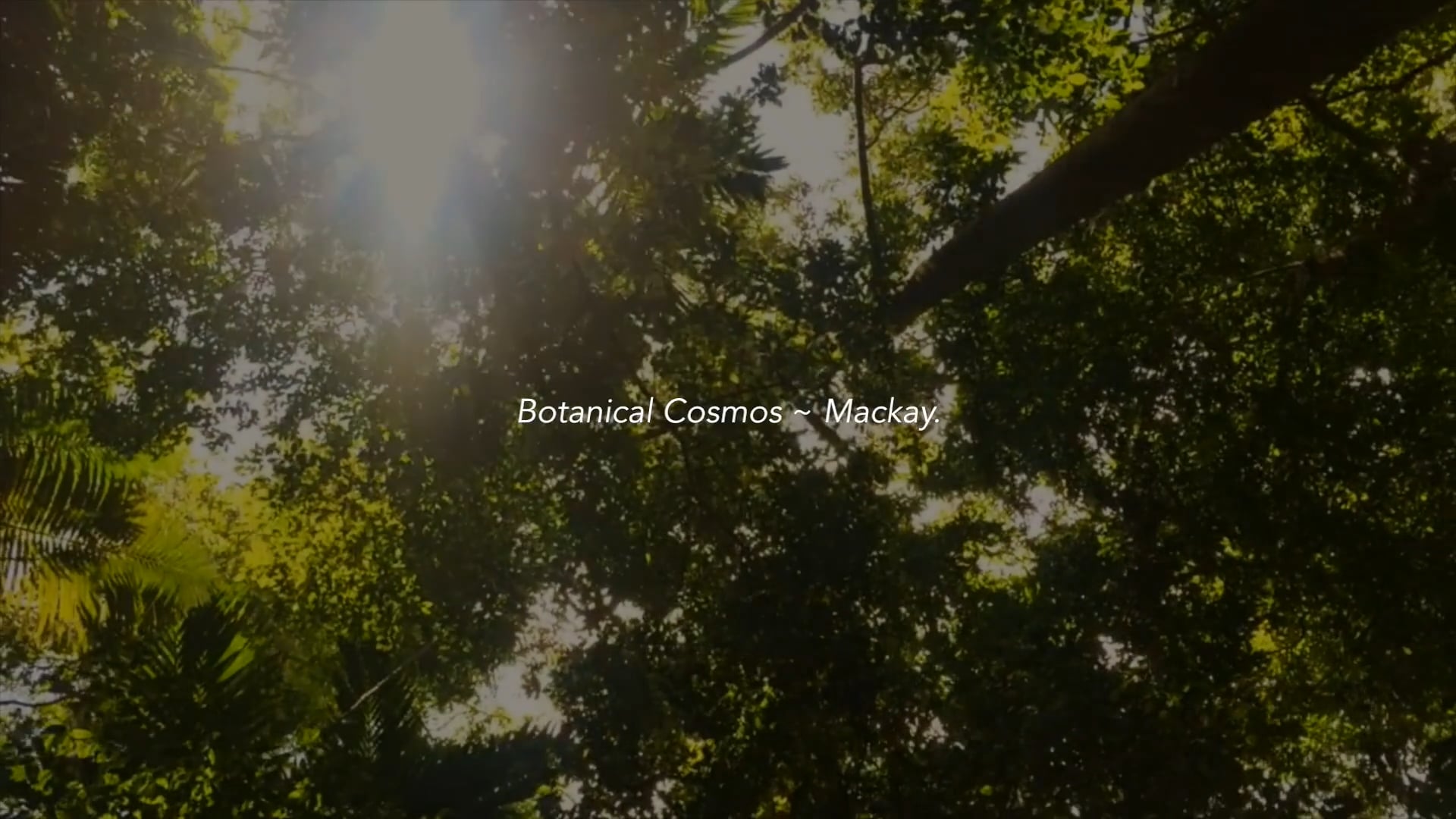 Botanical Cosmos - Mackay, Shapes & Textures