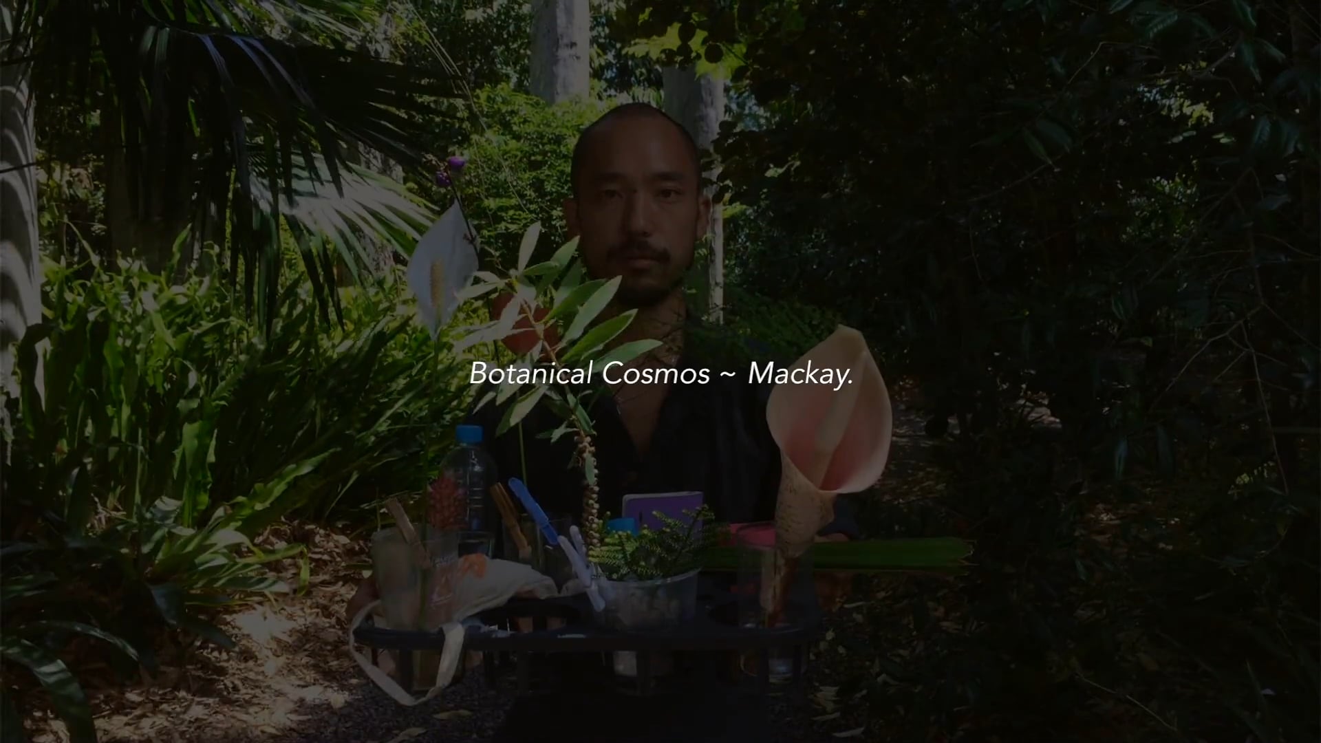 Botanical Cosmos - Mackay, Dreamy Forest