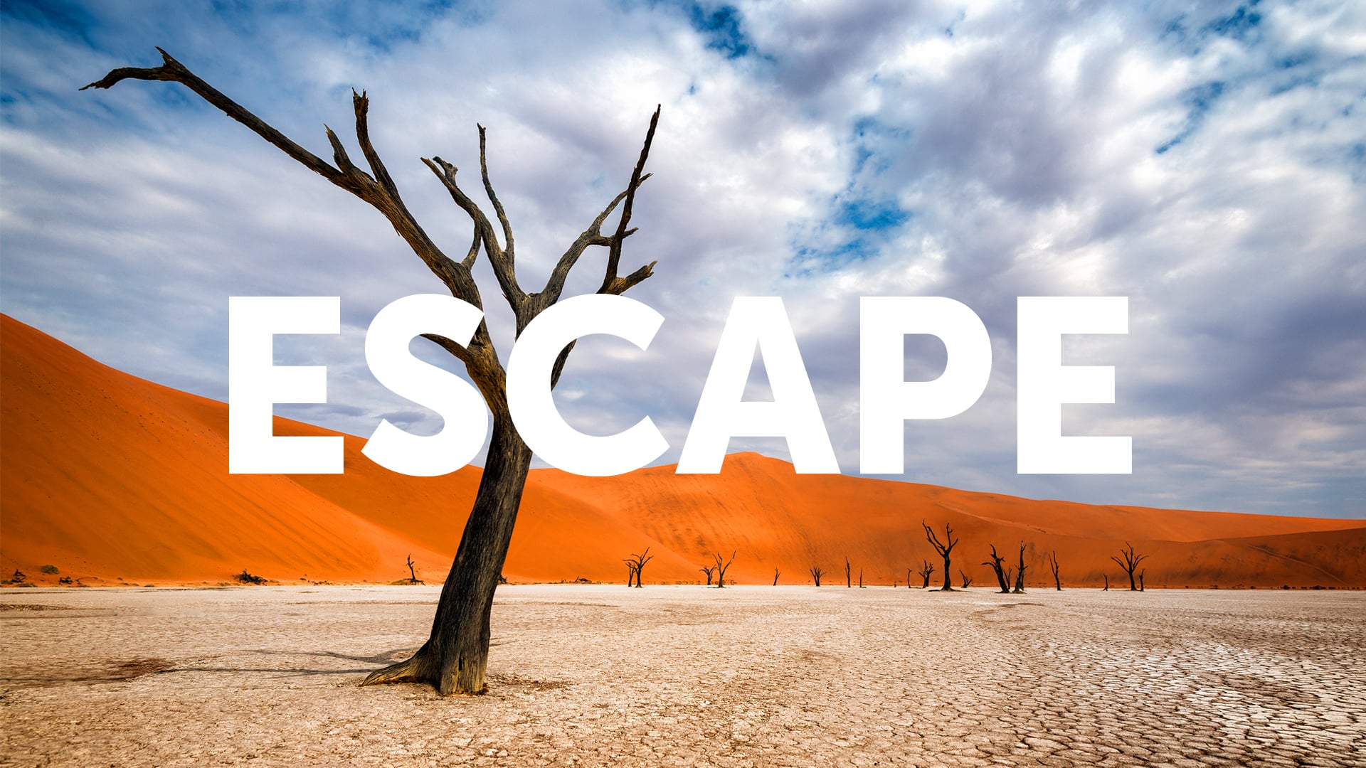 Escorted Escapes