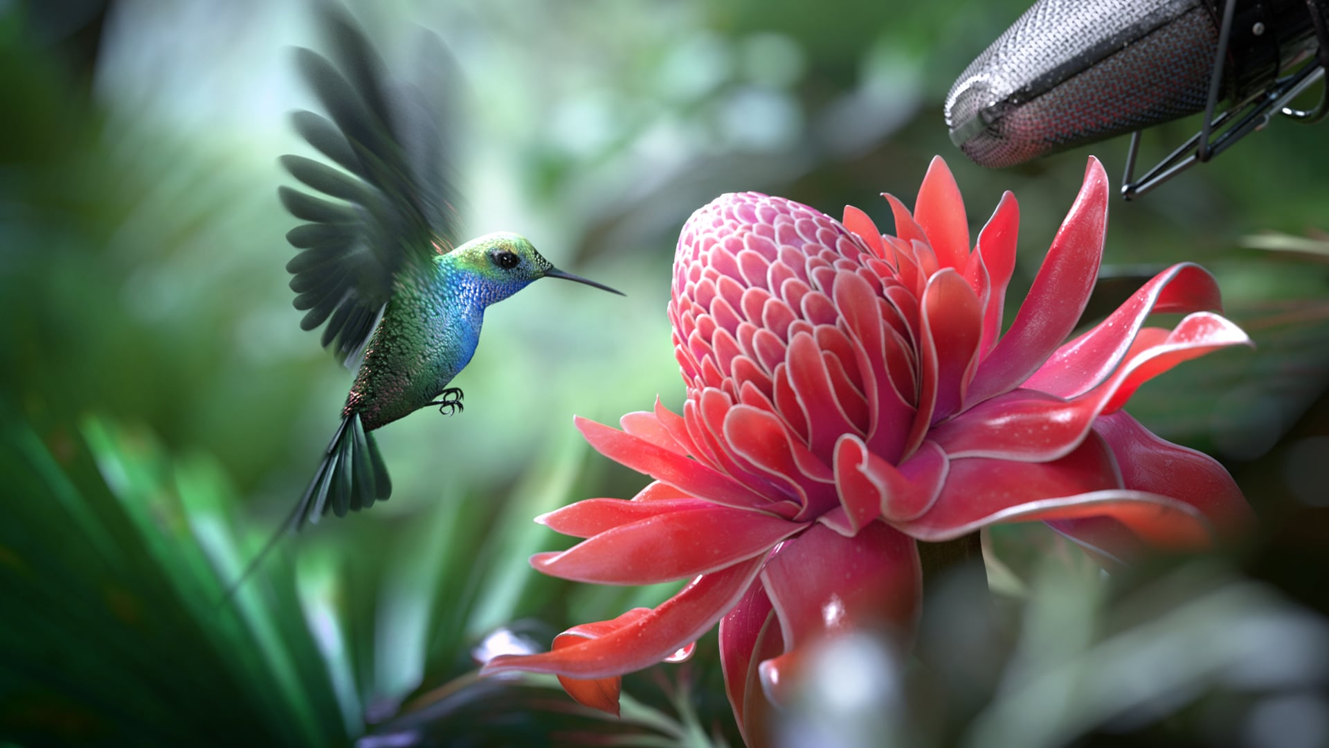 TCL - Dir. Baptiste Massé