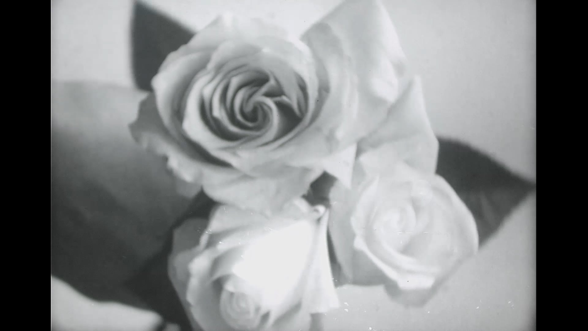Toxic Touch, A Black & White Experimental Film