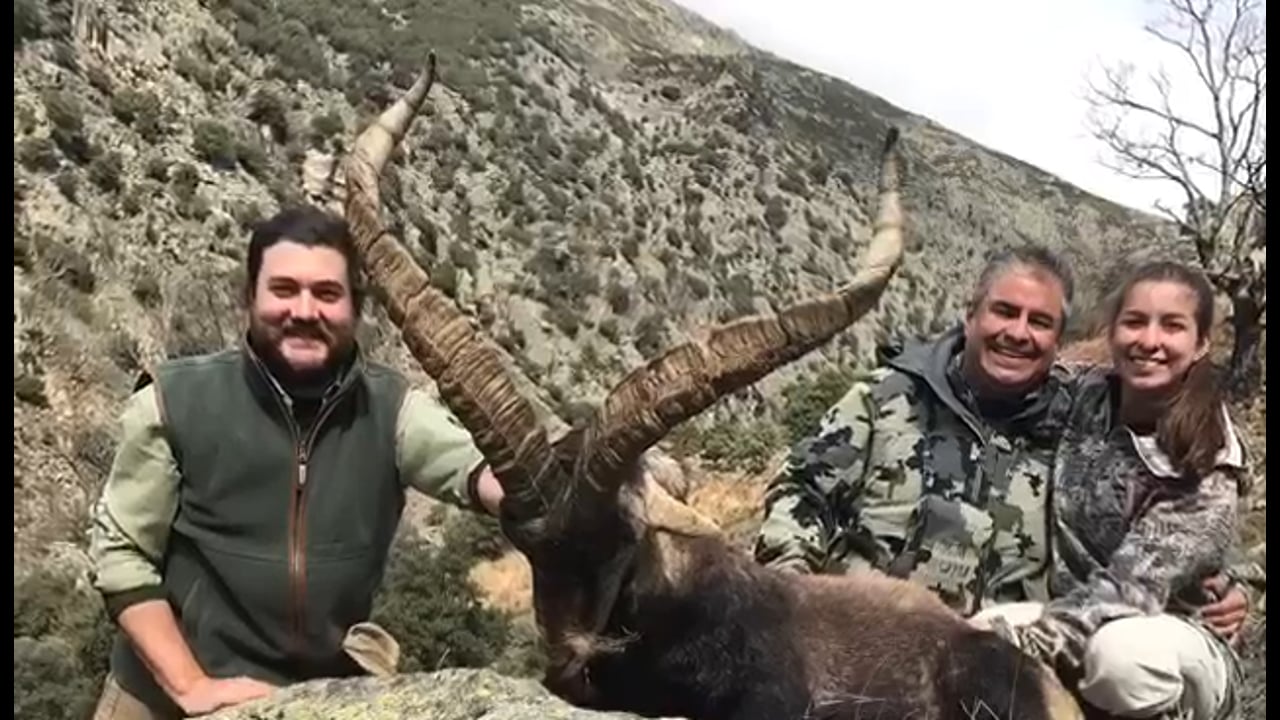 Gredos Ibex Hunt - Caza de Cabra Montés en Gredos