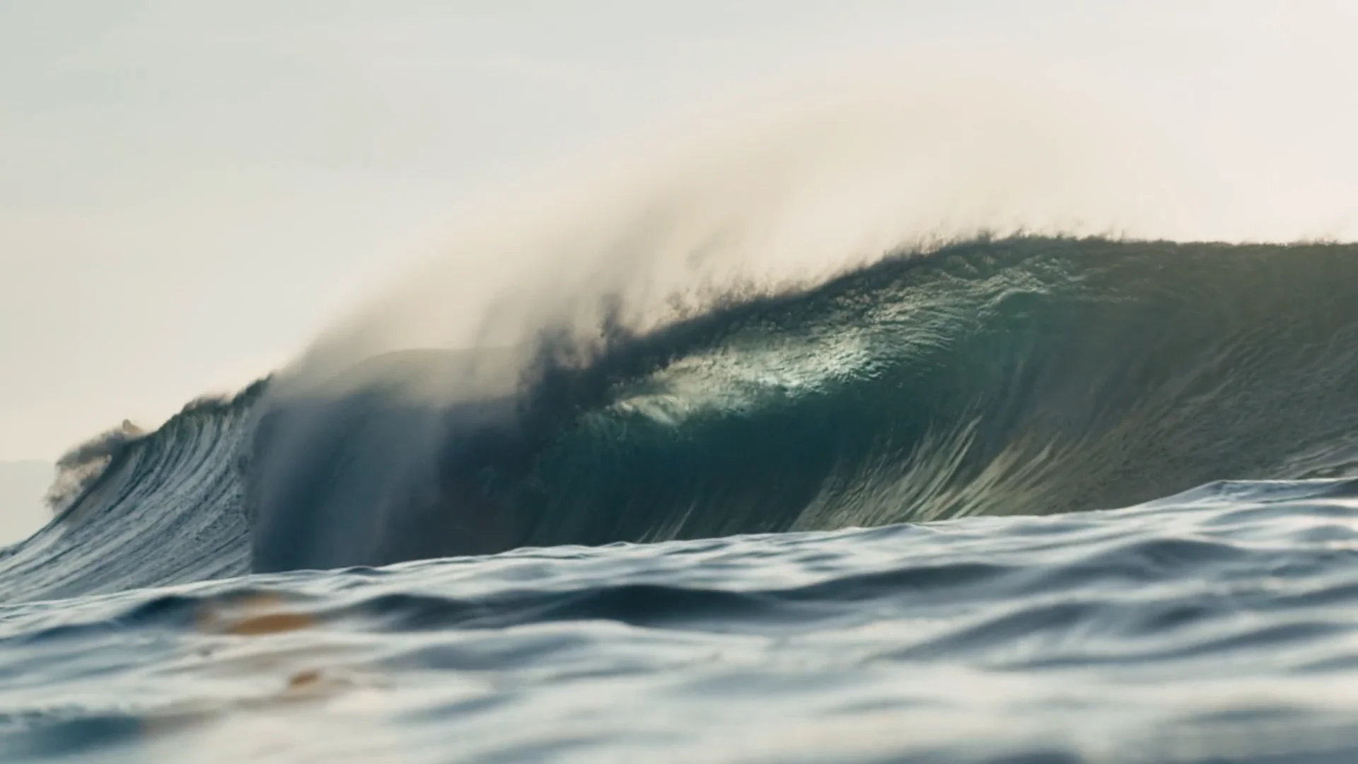 Surfrider Foundation – Vissla.com