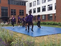 Dance - Showcase 2017