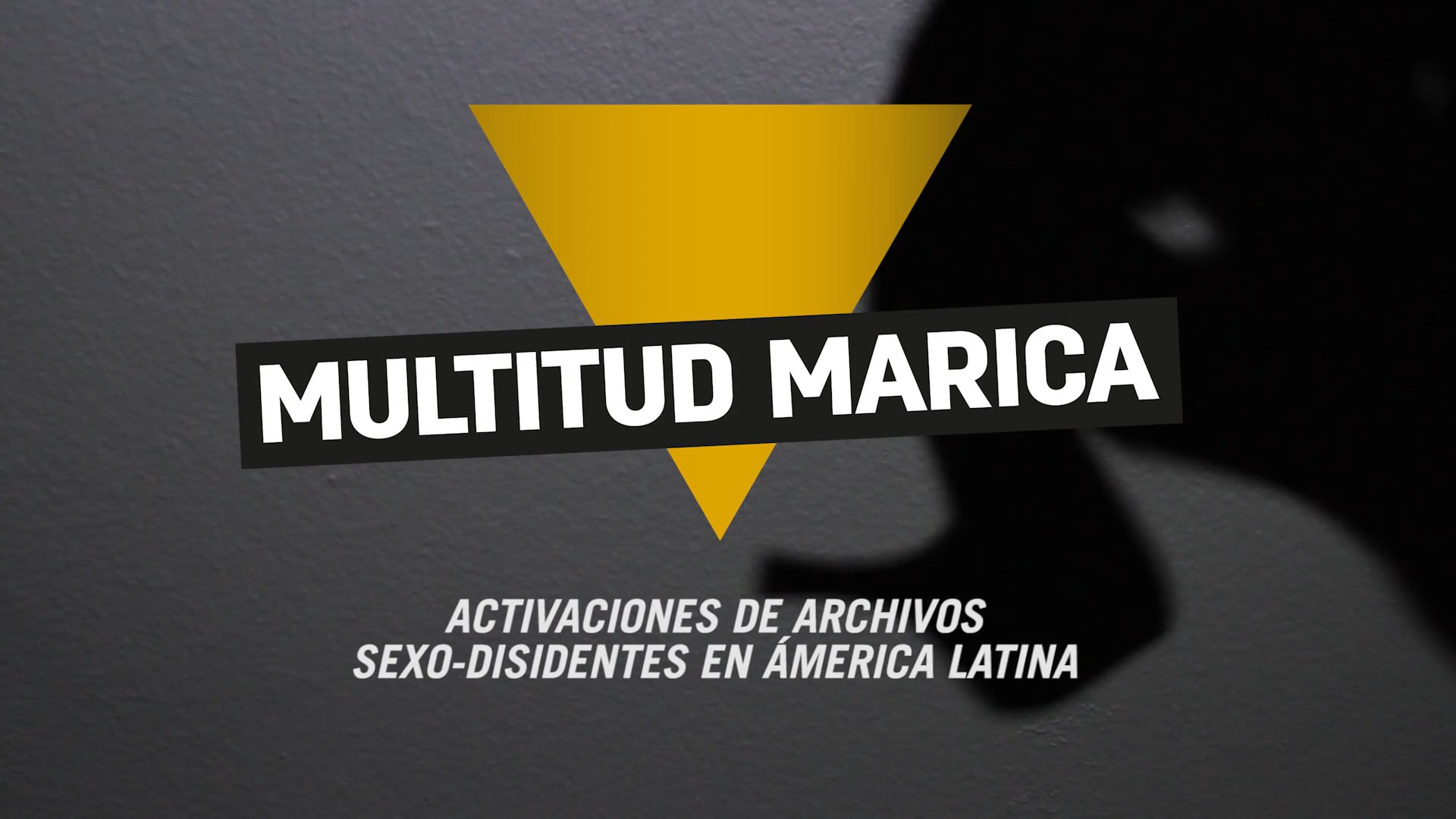 Exposición “Multitud Marica. Activaciones de archivos sexo-disidentes en  América Latina”