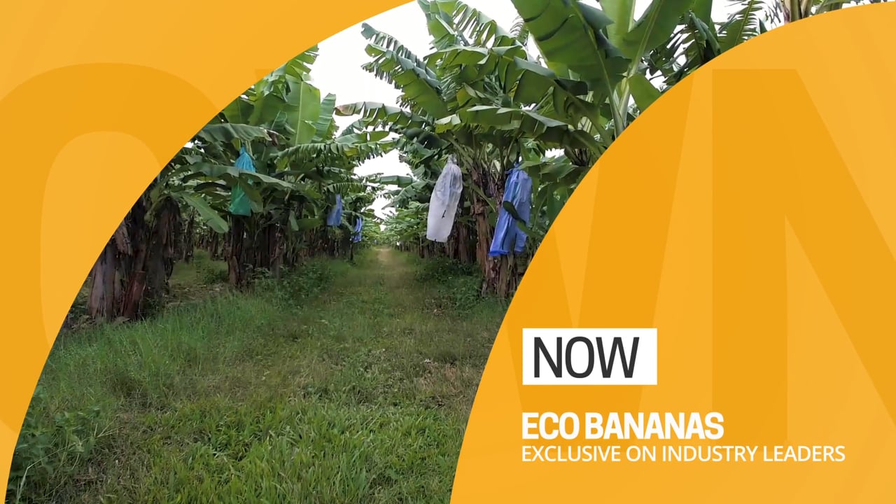 Pacific Coast Eco Bananas - Industry Leaders S03 - TV Segment