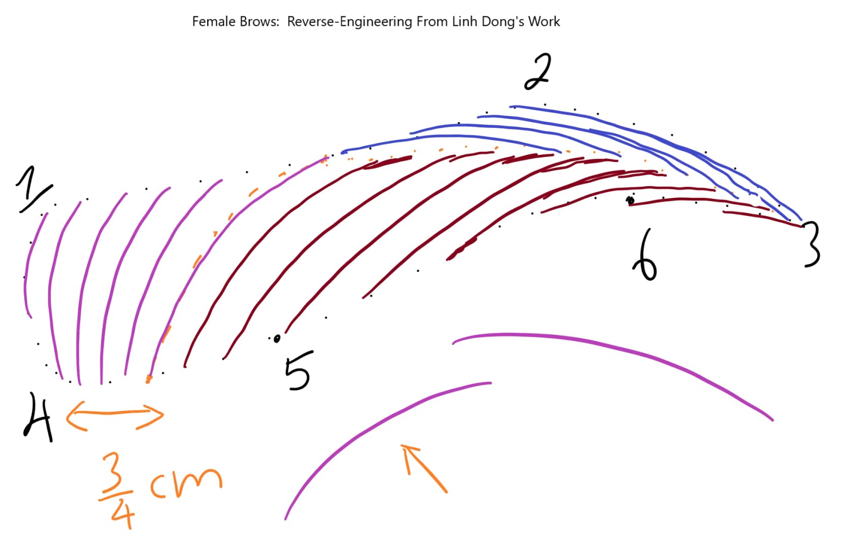 Female Brows #1: Reverse-Engineering from Linh Dong's Work on Vimeo