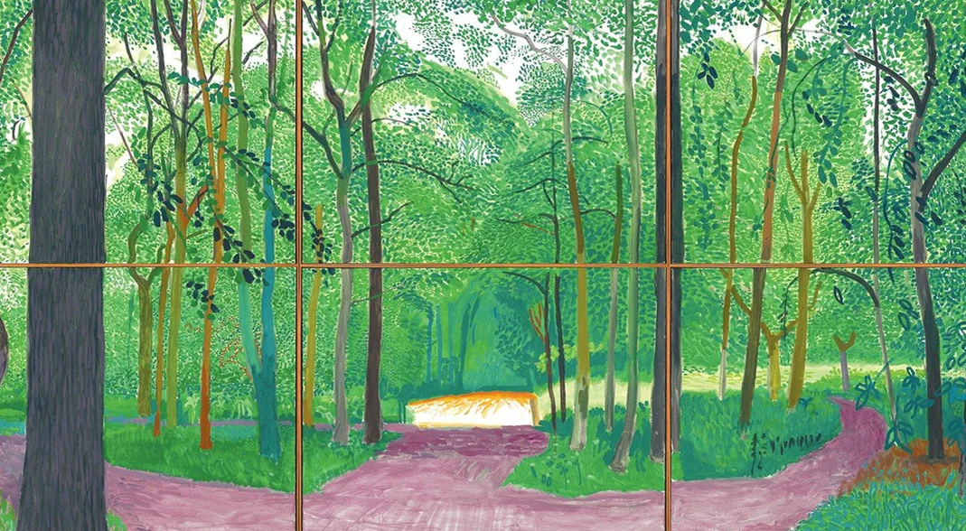 Watch David Hockney: A Bigger Picture Online | Vimeo On Demand on