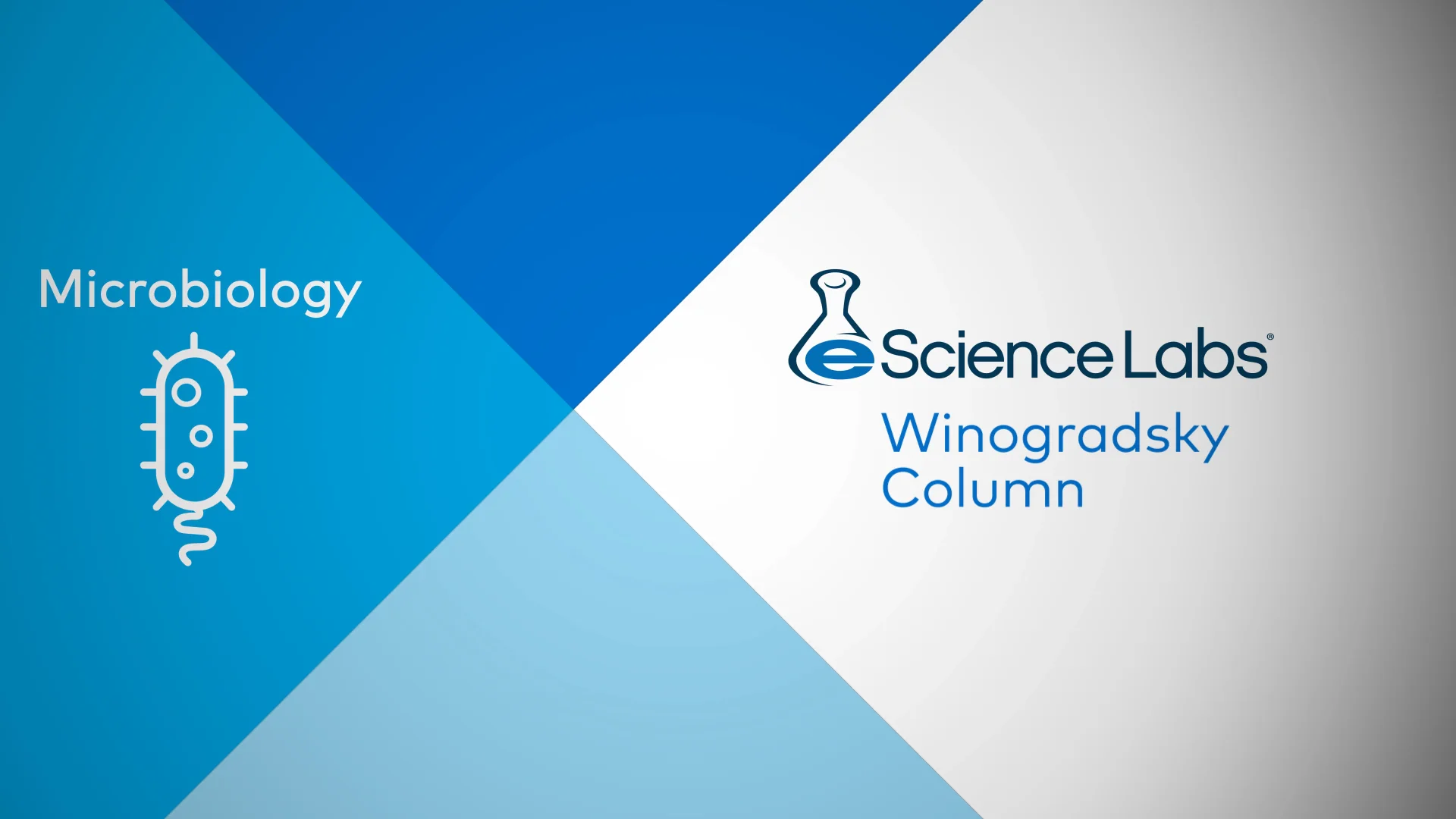 Microbiology: Winogradsky Column