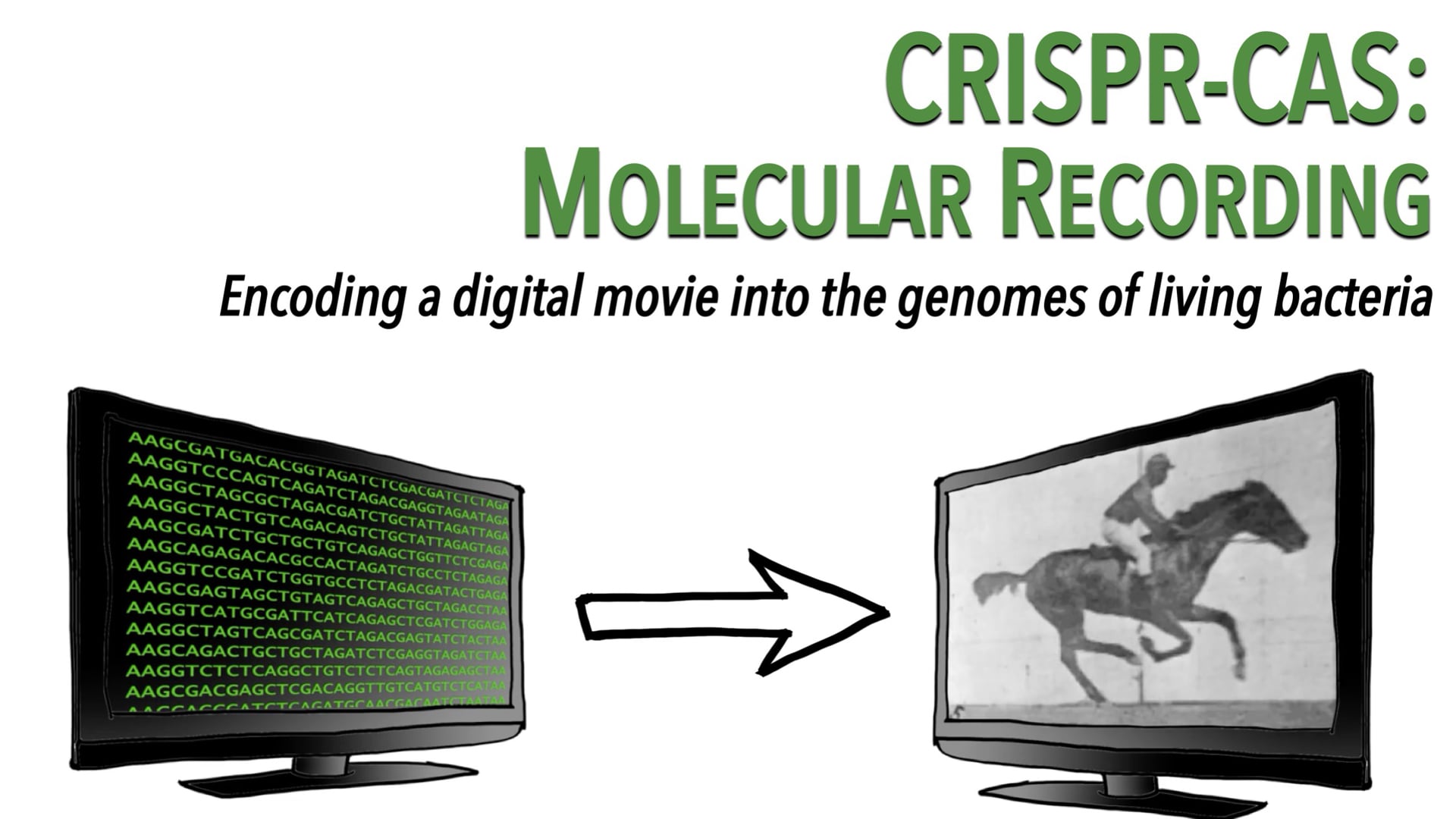 CRISPR-Cas:分子记录