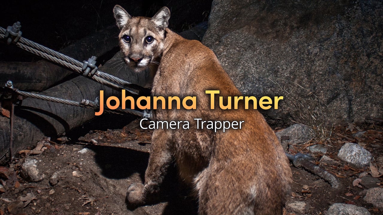 Untethered: My Passion - Johanna Turner
