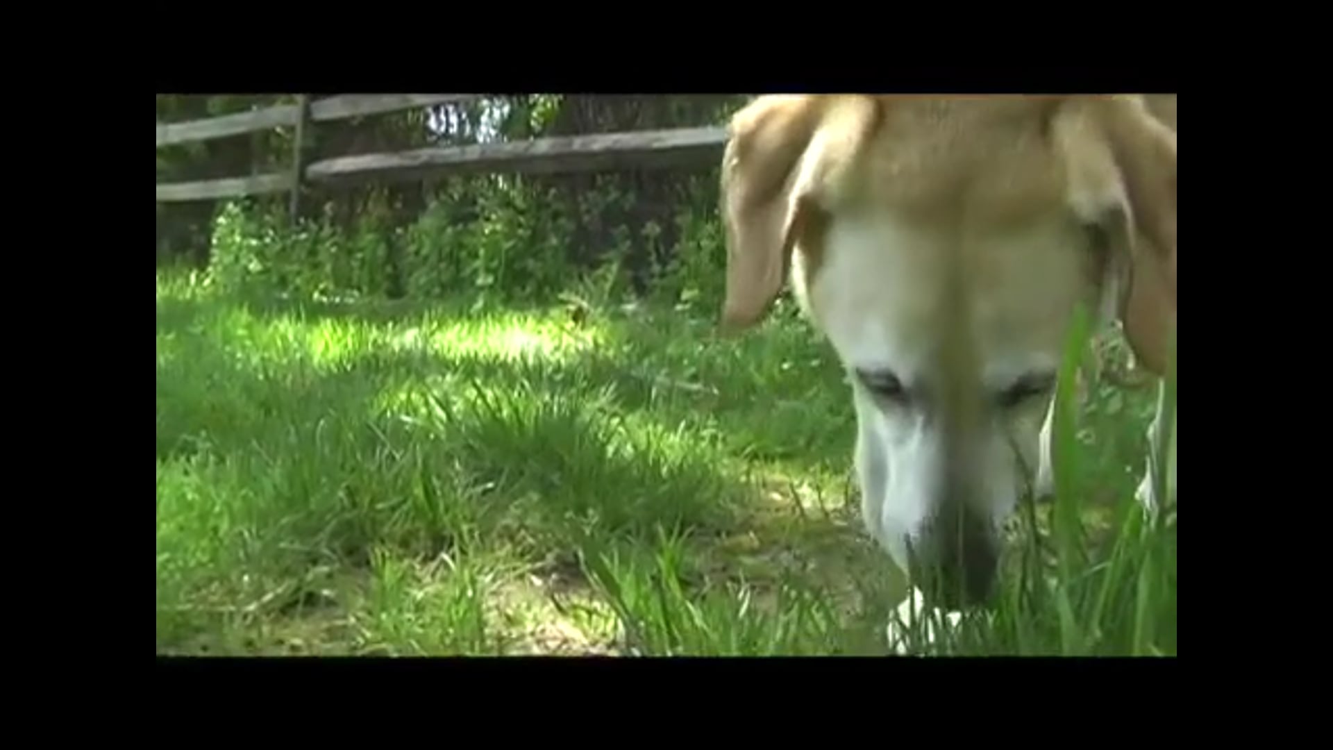 Zeus (2010)