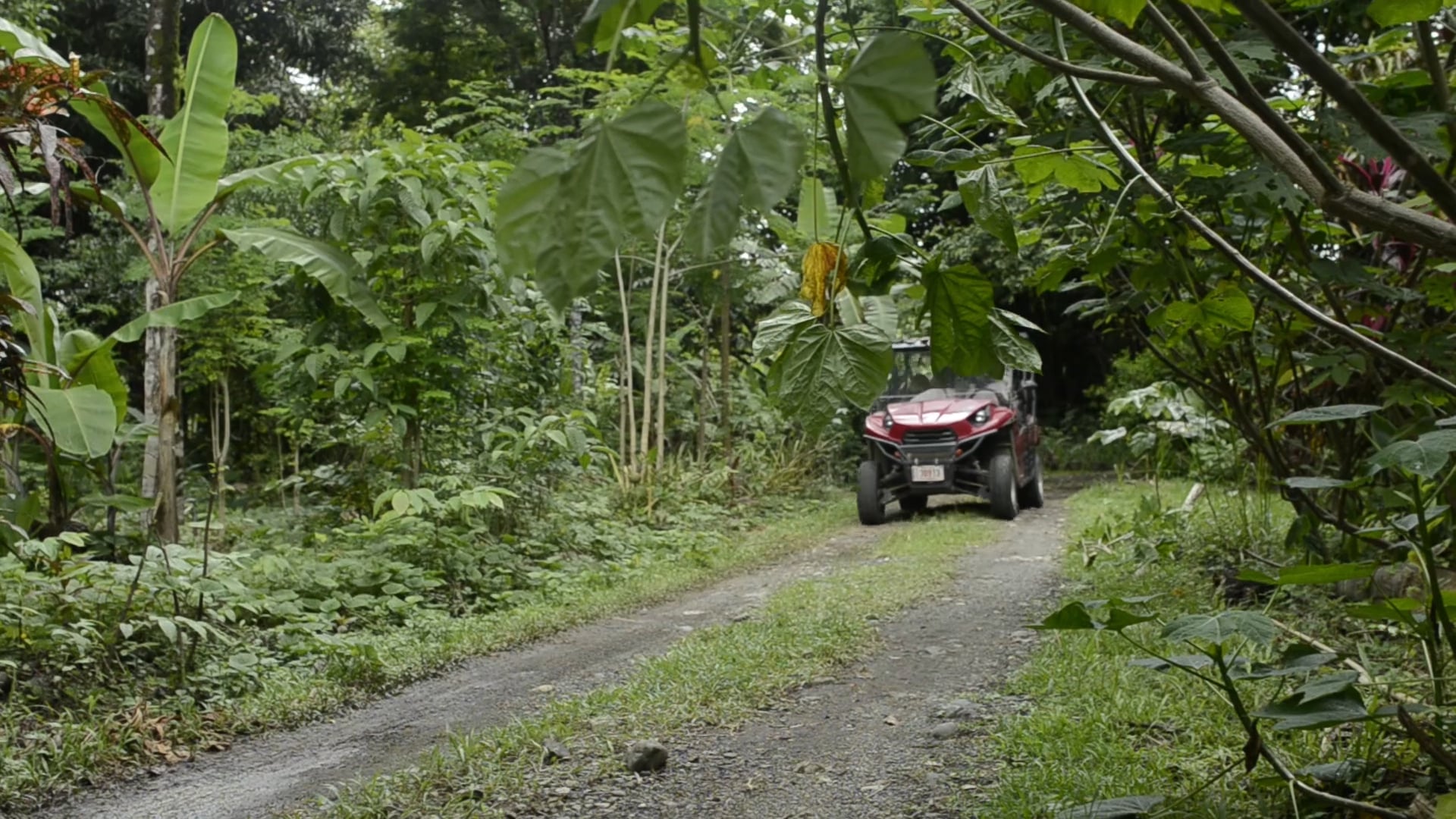 NuMundo visits Finca Morpho