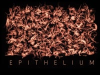 Epithelium