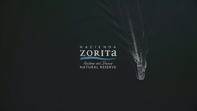 Hacienda Zorita Natural Reserve