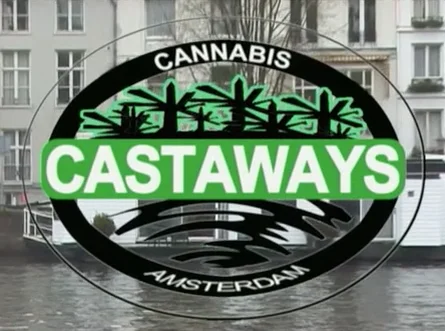 High Times Presents The Cannabis Cup 2003 | Videos & Movies on Vimeo