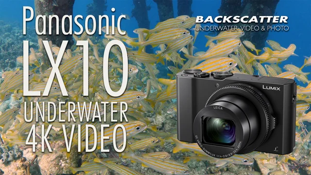  Panasonic LUMIX LX10 4K Digital Camera, 20.1 Megapixel 1-Inch  Sensor, 3X LEICA DC VARIO-SUMMILUX Lens, F1.4-2.8 Aperture, POWER O.I.S.  Stabilization, 3-Inch LCD, DMC-LX10K (Black) : Electronics