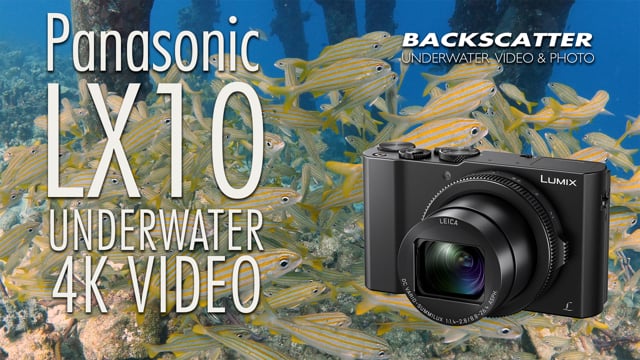 Panasonic LX10 4K Underwater Test Footage