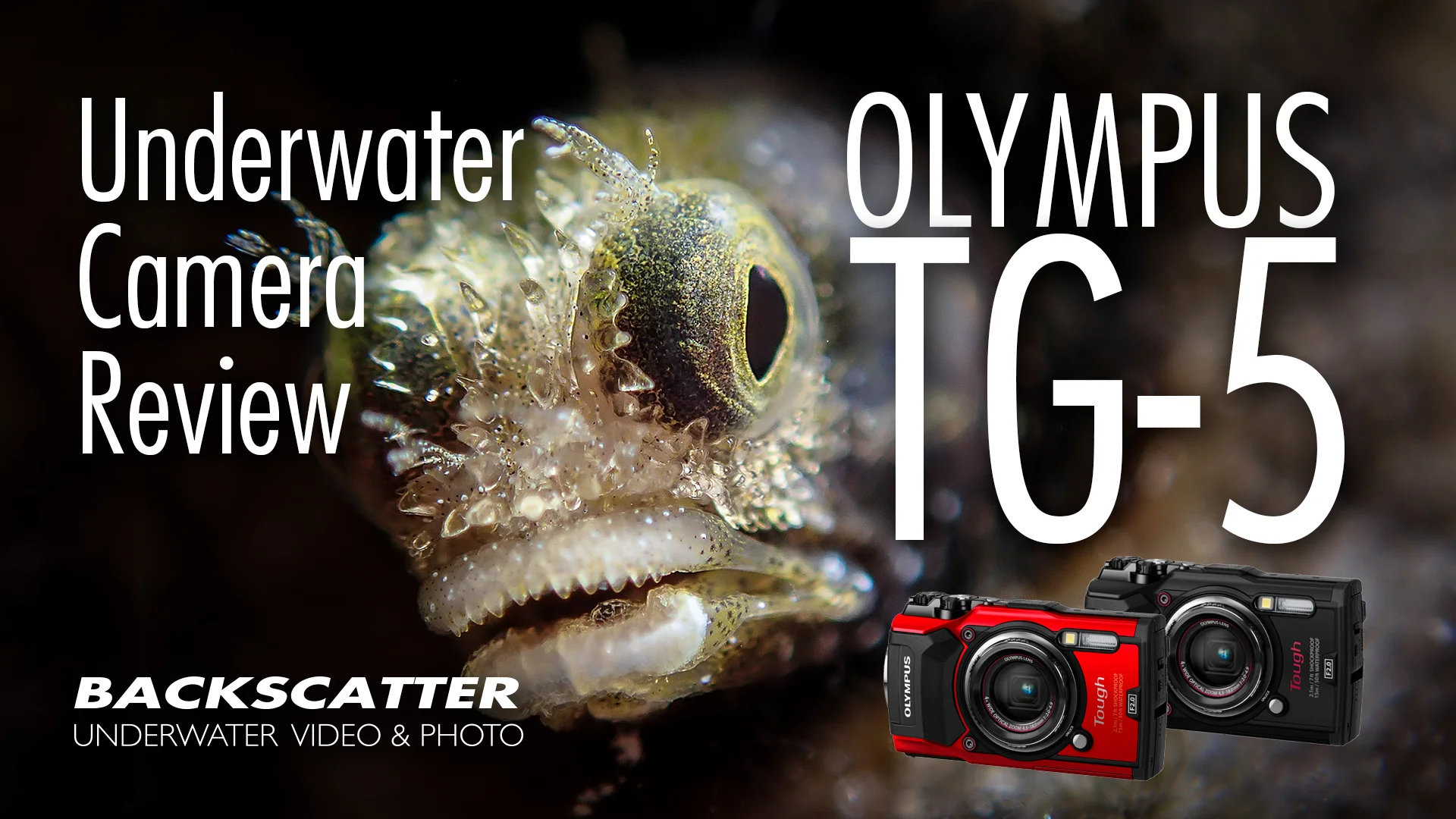 Olympus Tough TG-5 Waterproof Compact Camera Olympus Tough TG-5 Waterproof Compact Camera