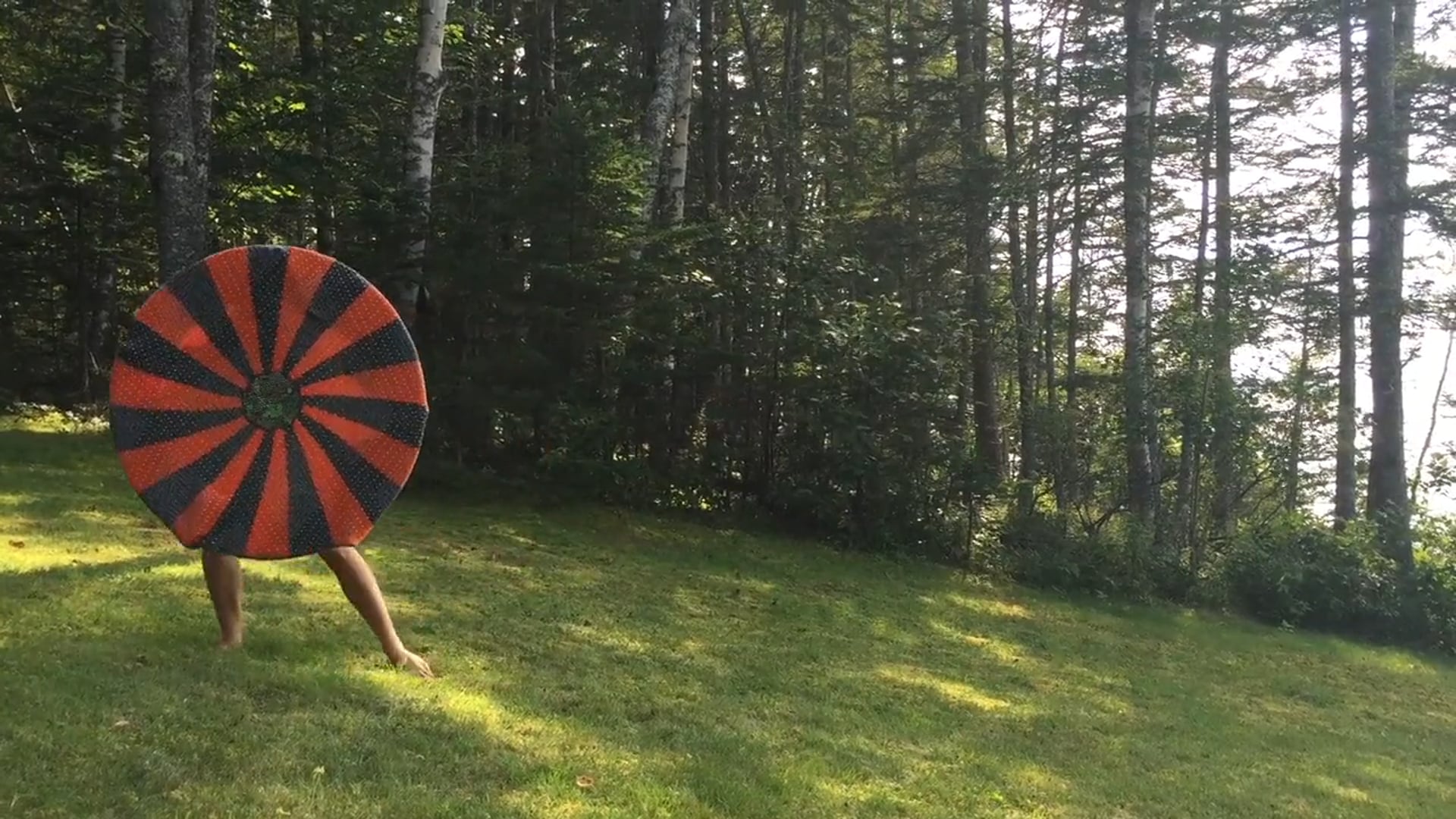 Untitled (this is not a circle) 2015